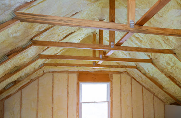 Best Cellulose Insulation in Johnson City, TN