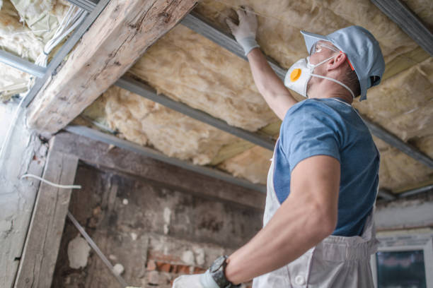 Best Eco-Friendly Insulation in Johnson City, TN