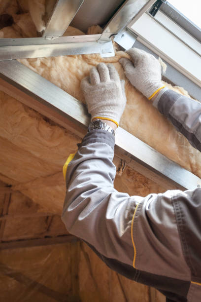 Types of Insulation We Offer in Johnson City, TN